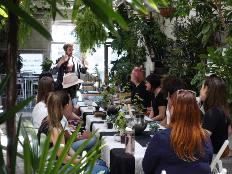 bonsai workshop setting
