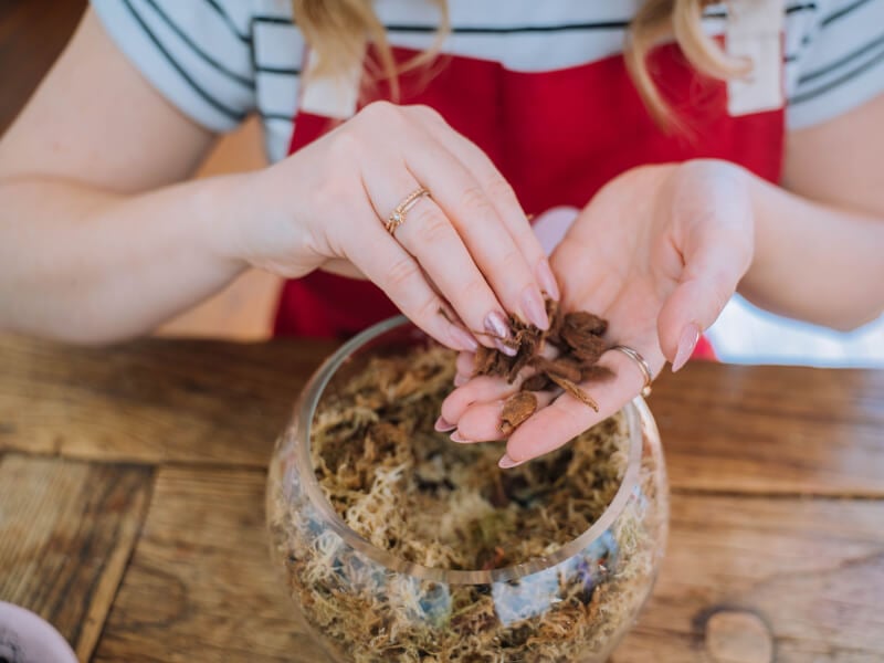 Close up of a woman building a terrarium