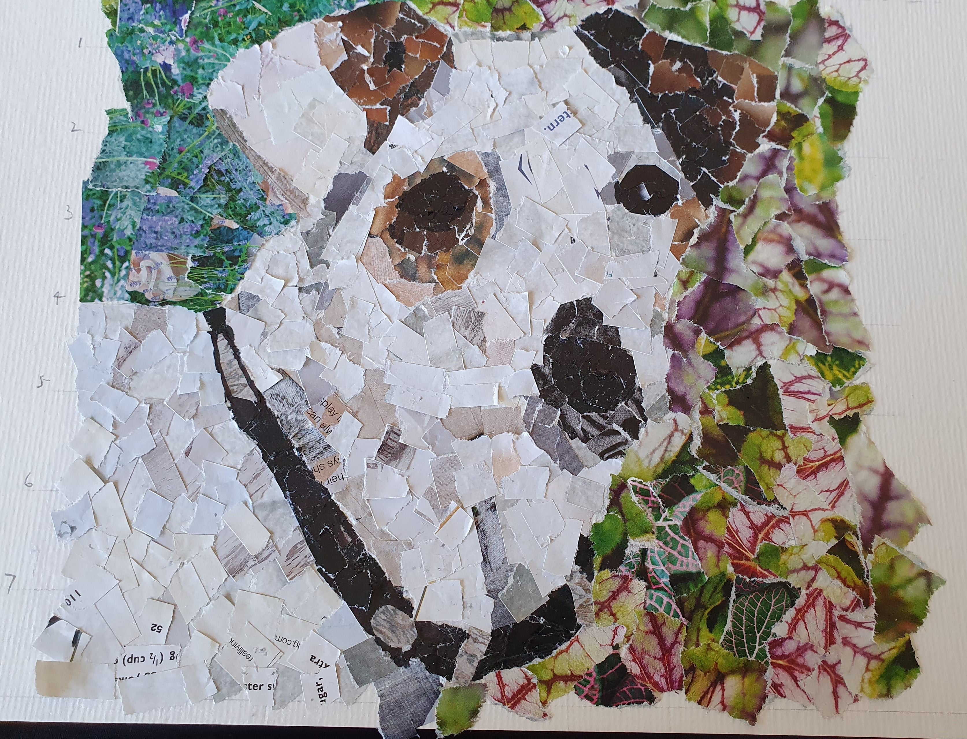 dog collage