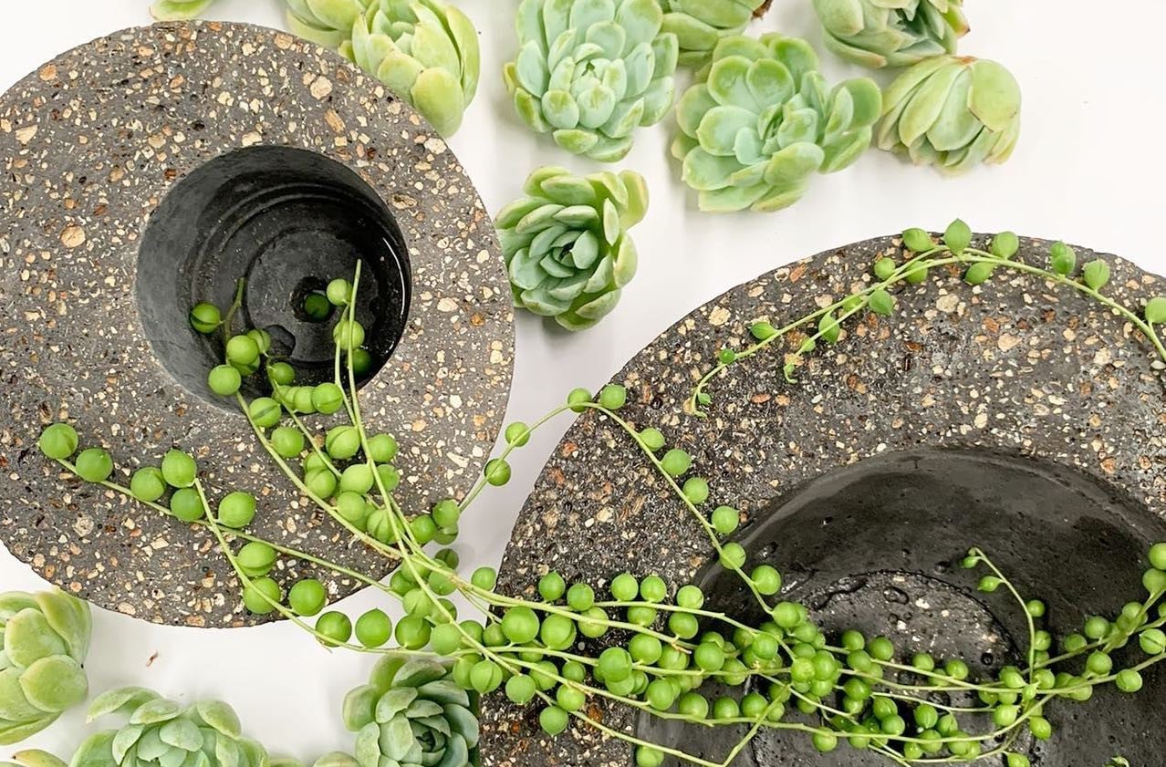 Pottery and succulent care class