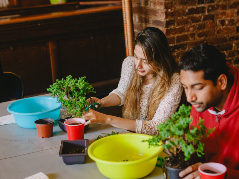 A couple doing a bonsai class together
