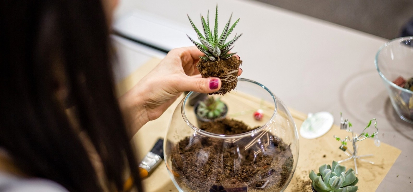 Terrarium workshop in Canberra