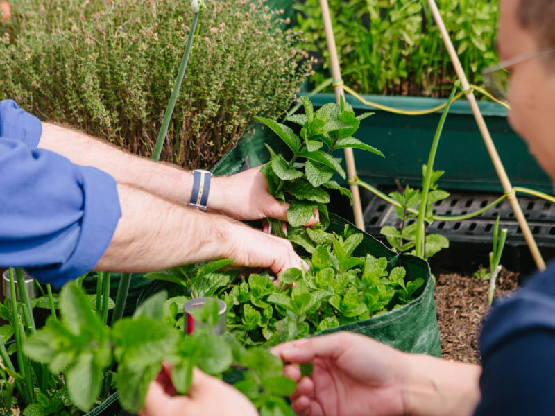 A smiling father learns to garden at a workshop
