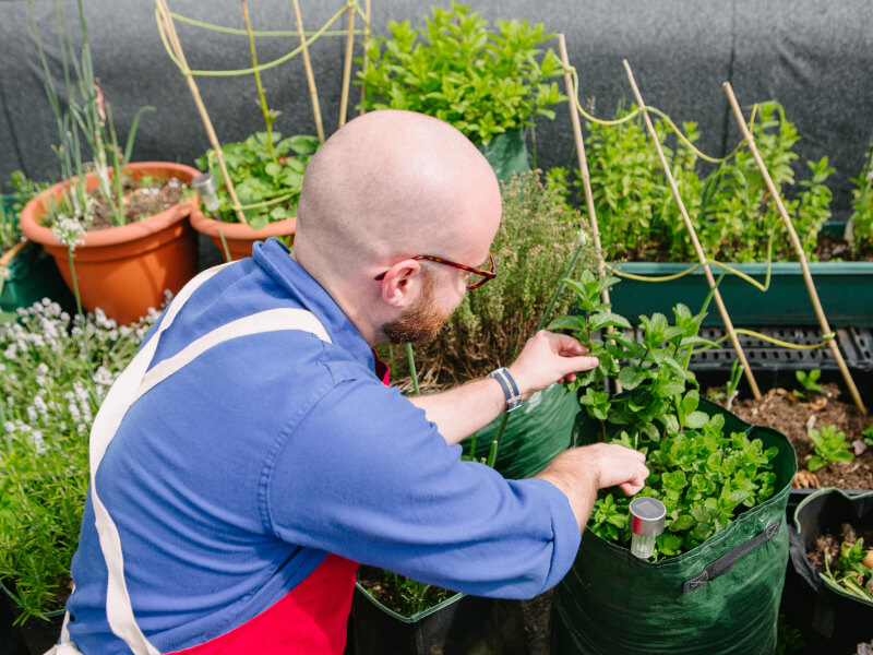 Man tending to a veggie garden at gardening class he was gifted