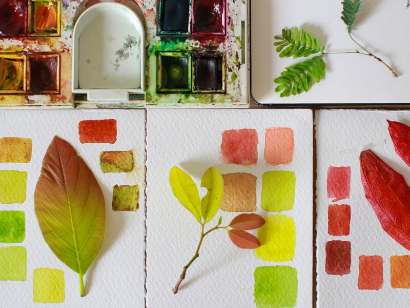 Watercolour painting classes