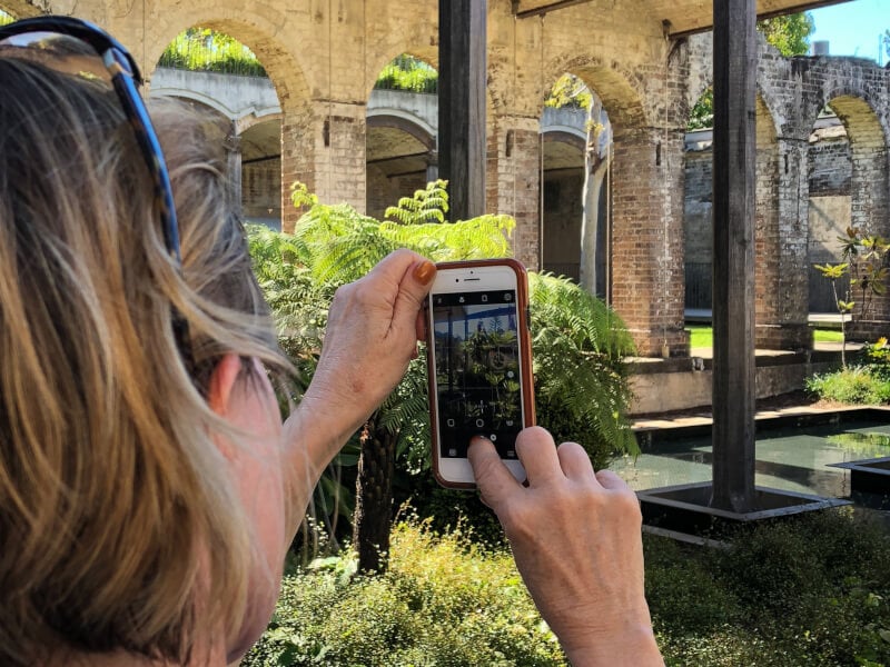 woman taking photos with her smartphone