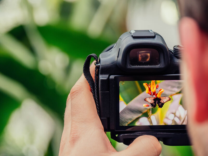 taking nature photography with dslr camera