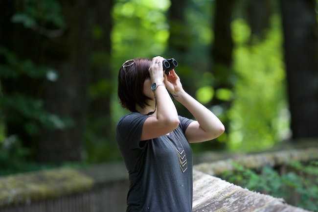 Bird watching