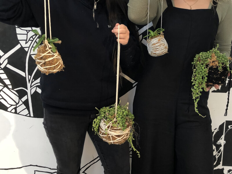 Kokedama Classes - Adelaide, and Experience Gifts