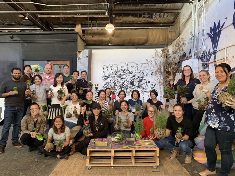 Kokedama classes Sydney