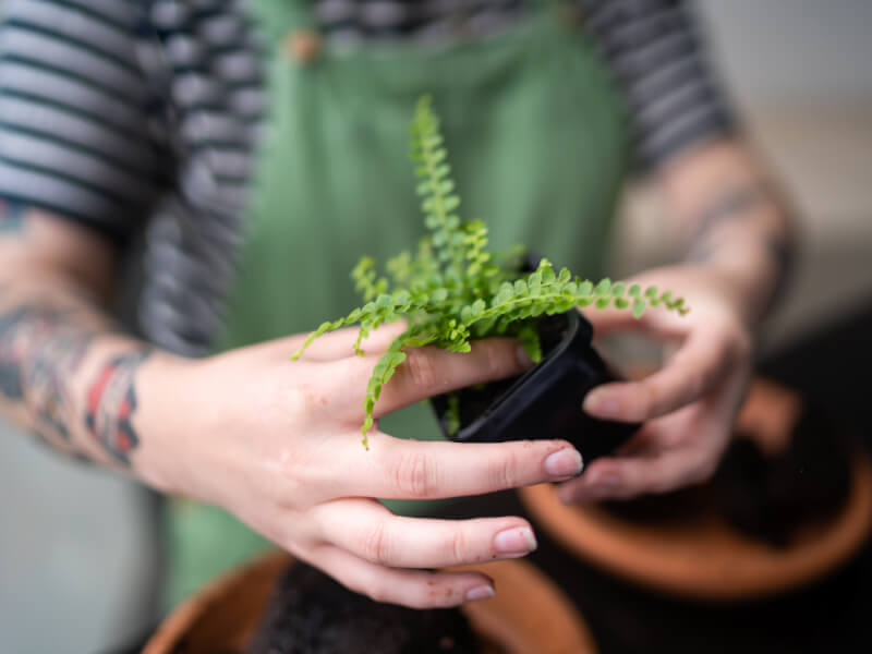 Floristry courses Sydney