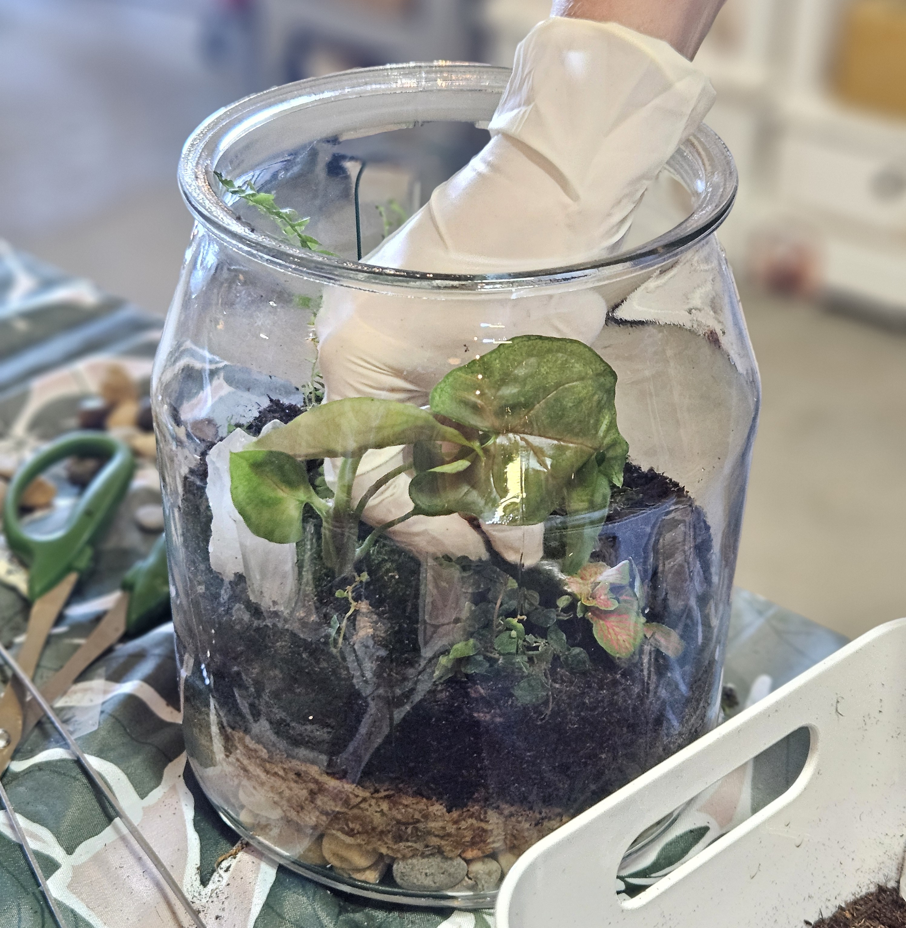 Person placing plants in a terrarium