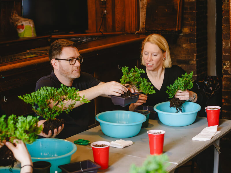 Man enjoys bonsai class he got as a gift from his daughter