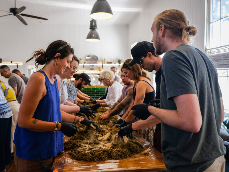 Students getting hands-on with mushroom at mushroom growing class