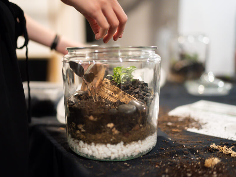 Terrarium making