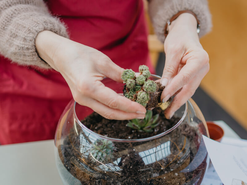 DIY terrarium
