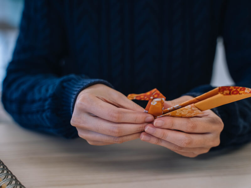A persons hands craft beautiful origami