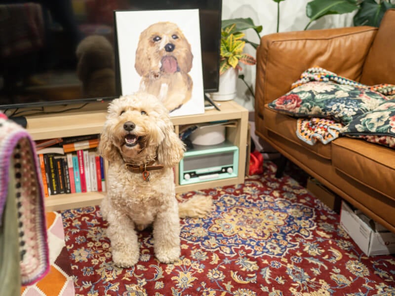 Dog posing in front of hand drawn portrait
