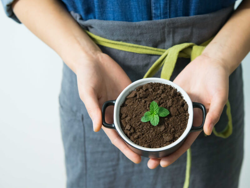 coffee grounds in cup