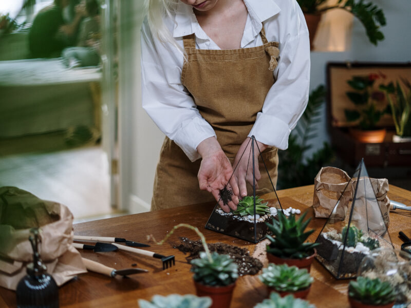 DIY terrarium class