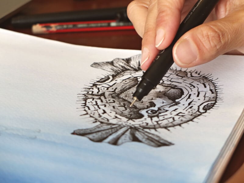 Ink drawing example