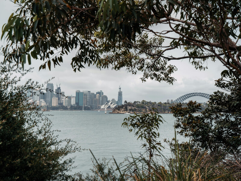 Sydney harbour seen from afar between trees