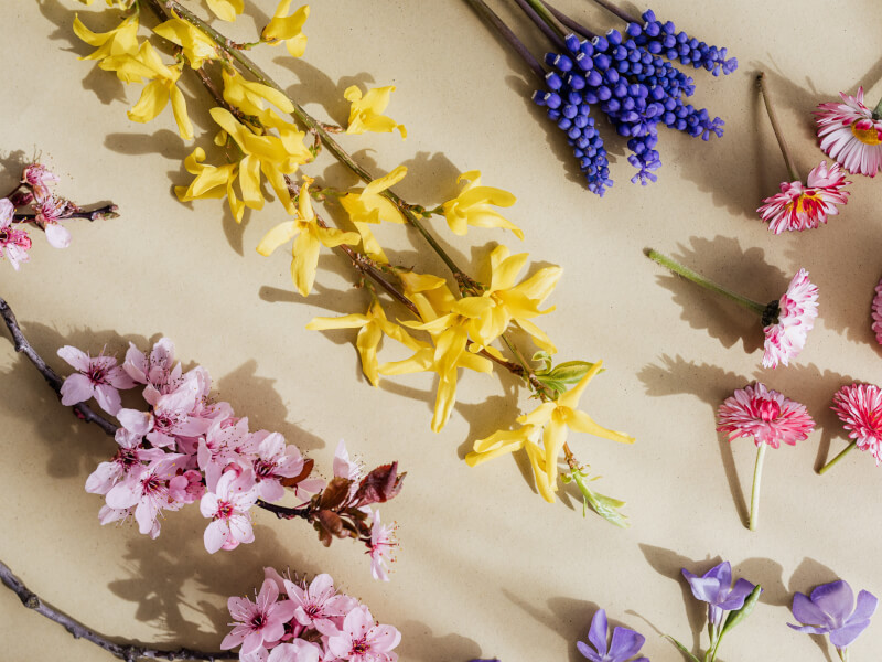 selection of colourful fresh flowers