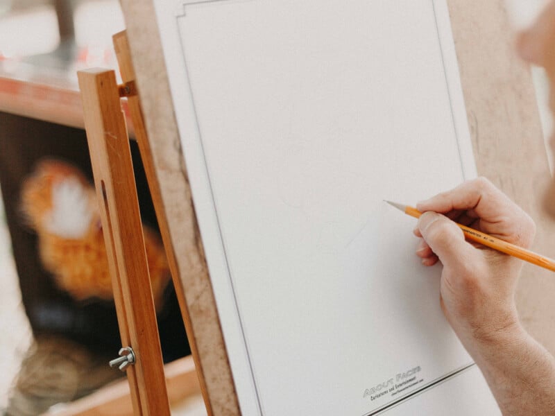 What to expect at a Sydney drawing class