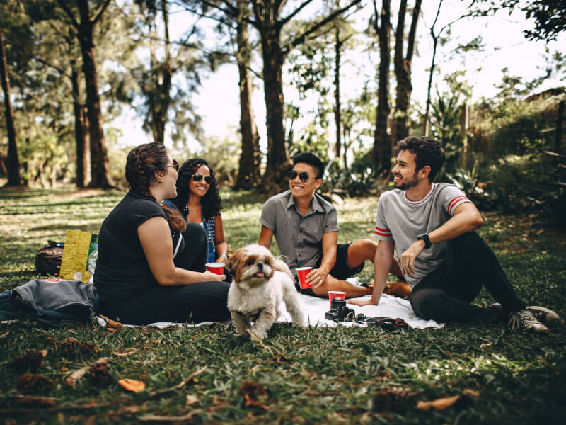 Picnic ideas in Sydney