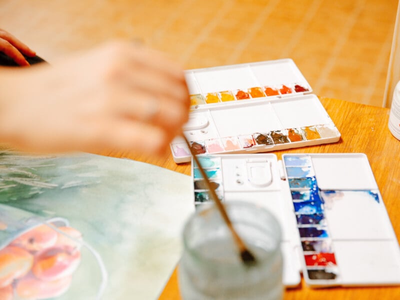 Watercolours for beginners