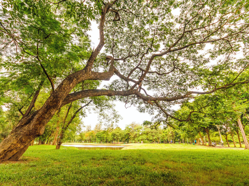 Best picnic spots Sydney