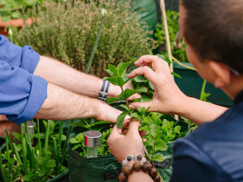 Two men picking herbs at a gardening class