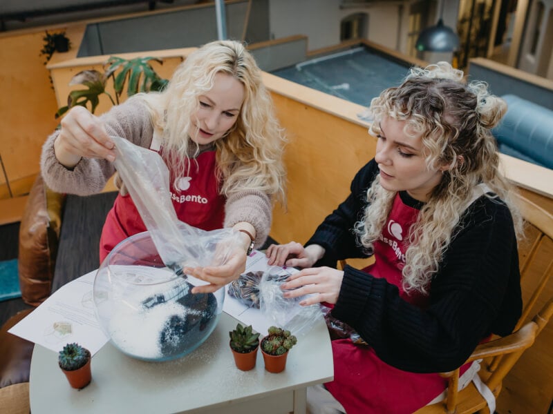 Terrarium making