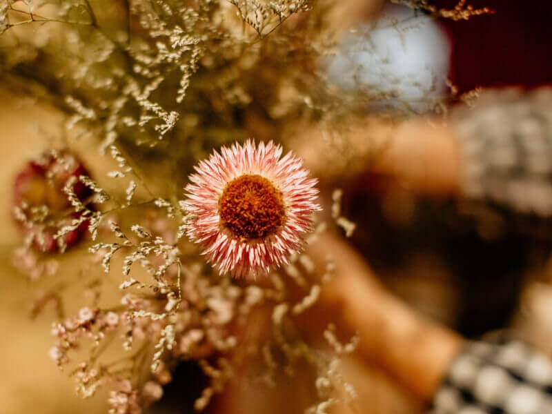 Birds eye view of a pretty flower arrangement